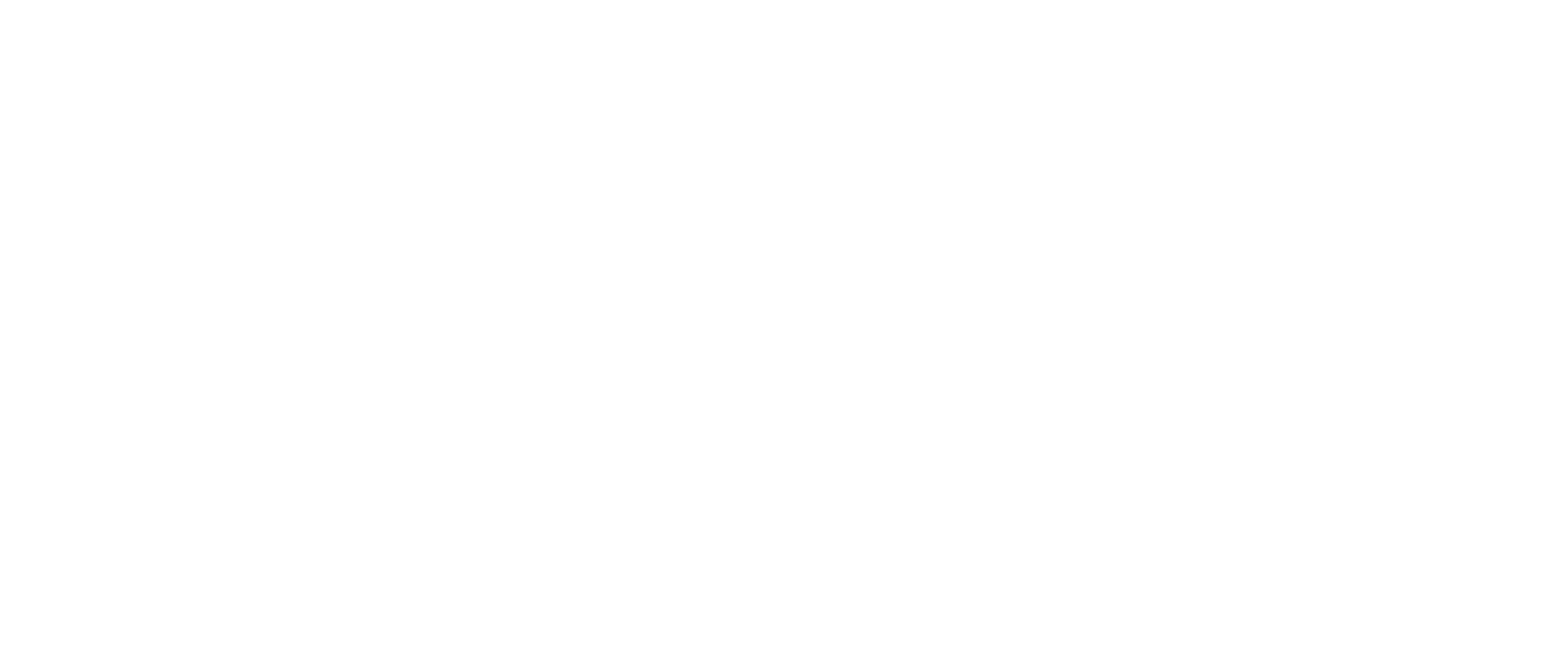 Neufeld Voyage Logo